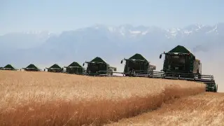 Фермеры Жамбылской области получили 19,7 миллиарда тенге субсидий