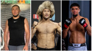 Какая страна Центральной Азии наиболее успешна в UFC