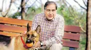 Богатый индийский бизнесмен оставил собаке баснословное наследство