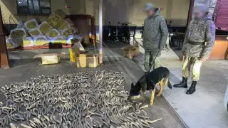 57 иностранцев задержали на границе Казахстана