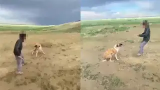 Страшные издевательства над собакой сняли на видео в Актюбинской области