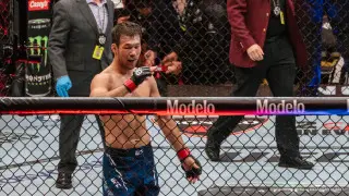 Непобежденный боец UFC “сбежал“ от Шавката Рахмонова: подробности