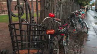 Тепло на юге, осадки на севере: погода в Казахстане на 3 ноября