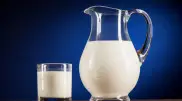 Названы три продукта, которые нельзя есть с молоком