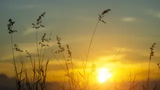 Назван самый жаркий год в истории Казахстана