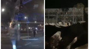 Акции протеста запретили в Амстердаме после еврейского погрома