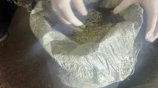 КНБ задержал две наркогруппировки