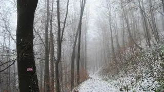 Метели и морозы с дальнейшим понижением: погода в Казахстане на 12 ноября