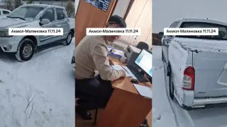 Собак, запертых в багажнике авто, нашли в Акмолинской области