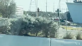 Испытание роботакси от Tesla попало на видео