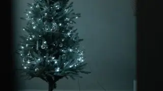 Новый год 2025: когда казахстанцам лучше ставить елку