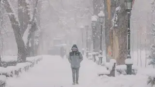 Морозы до 20 градусов, снег и туман: погода в Казахстане на 20 ноября