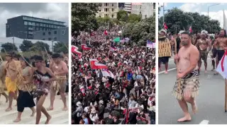 Крупнейшую акцию протеста проводят маори в  Новой Зеландии