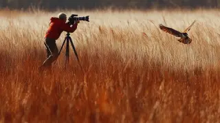 Объявлены лучшие фото природы за 2024 год