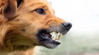 “Откуда вы взяли?“ - депутат возмутился статистикой общественника