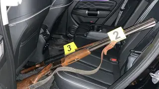 Косулю убили в Павлодарской области