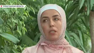 Успешный бизнес на домашних растениях создала жительница Туркестанской области