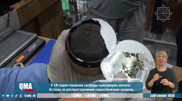 Два казахстанца заказали почтой наркотики из США