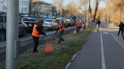 В Алматы стартует масштабная уборка в преддверии зимнего сезона
