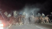 Мужчины на конях перекрыли трассу Алматы - Хоргос