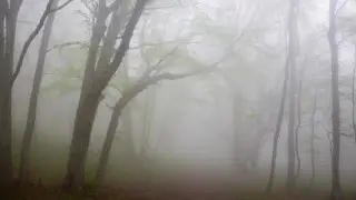 Сильный ветер и туман: штормовое предупреждение объявили в Астане и регионах