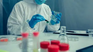 О смертельных вирусах в 17 странах предупредили путешественников