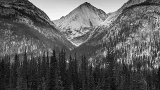 Пять недель при –20: пропавший турист выжил в экстремальных условиях