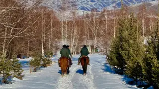 Скоро Новый год: охрану елей усилят в Катон-Карагае