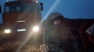 Пастух пропал из-за сильного тумана в Кызылординской области