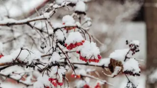 Туман, гололед, морозы до 15 градусов: погода в Казахстане на 2 декабря