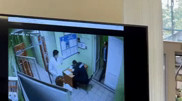 Связали руки и увезли в наркологию - аким озвучил подробности инцидента с подчиненным