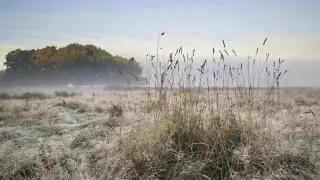 Туман и 20-градусные морозы: погода в Казахстане на 5 декабря