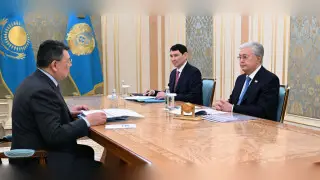 Токаев дал поручения Бозумбаеву