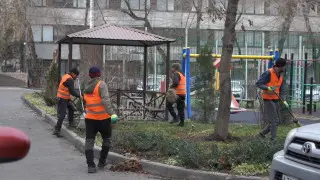 Ерболат Досаев: В Алматы внедрили новые принципы содержания дворов