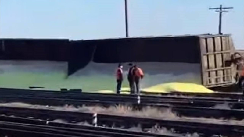 Фото: t.me/guwonline