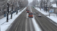 Сколько снега выпало в Алматы