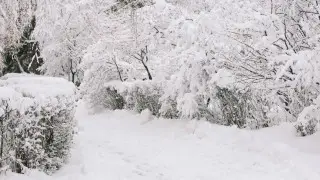 Метели и снегопады идут на смену морозам в Казахстан