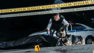 Тело нашли в автомобиле у частной школы в Алматы