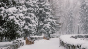 До 20 градусов мороза: погода в Астане и Алматы на 3 дня