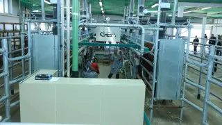 Новые проекты и технологии: аграрное будущее Костанайской области