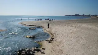 Время действовать: глобальное движение будет спасать Каспий