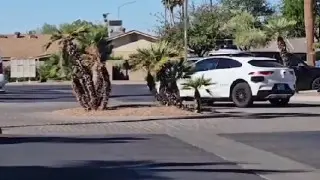 Роботакси дало сбой и стало наматывать круги по кольцевой