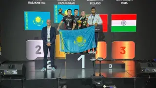 Семь золотых медалей завоевала сборная Казахстана на чемпионате мира по MMA