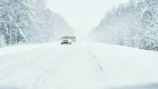 Участки дороги в двух областях закрылись из-за непогоды