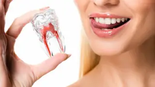 Ученые показали действие препарата для роста третьего набора зубов