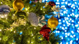 Учитель пострадал при оформлении новогодней елки в Семее. Новые подробности