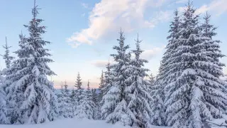 35-градусные морозы придут в Казахстан