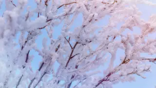 Температурный рекорд 69-летней давности побит в Казахстане