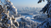 Новые правила, реформы и запреты: что изменил 2024 год