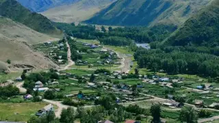 Маралды на миллиард: как инвестиции изменили село в Казахстане